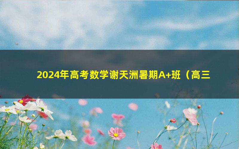 2024年高考数学谢天洲暑期A+班（高三）（6.33G高清视频）