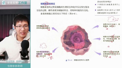 2024年高考李林生物一轮教材全刷预热课（78.2G高清视频）