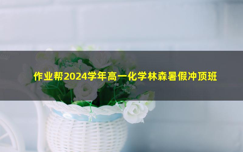 作业帮2024学年高一化学林森暑假冲顶班(秋领航)(9.01G高清视频)