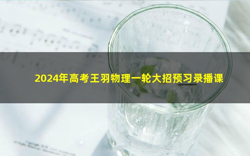 2024年高考王羽物理一轮大招预习录播课（跟直播前先学此内容）（52.5G高清视频）