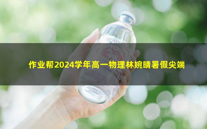 作业帮2024学年高一物理林婉晴暑假尖端班(秋领航)(9.35G高清视频)