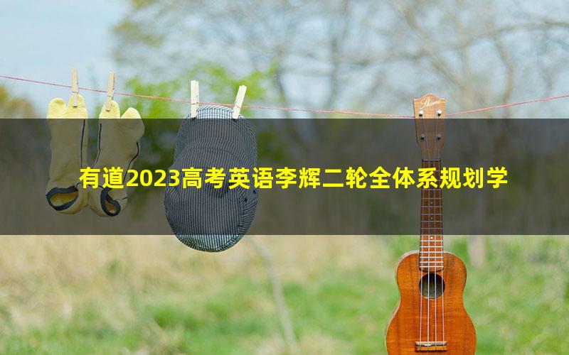 有道2023高考英语李辉二轮全体系规划学习卡（规划服务）（高三）（13.2G高清视频）