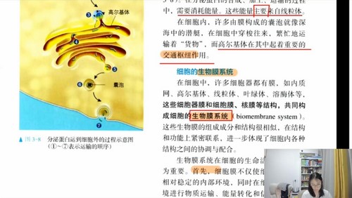 2024年高考生物周芳煜直播答疑课（高三）（695M高清视频）