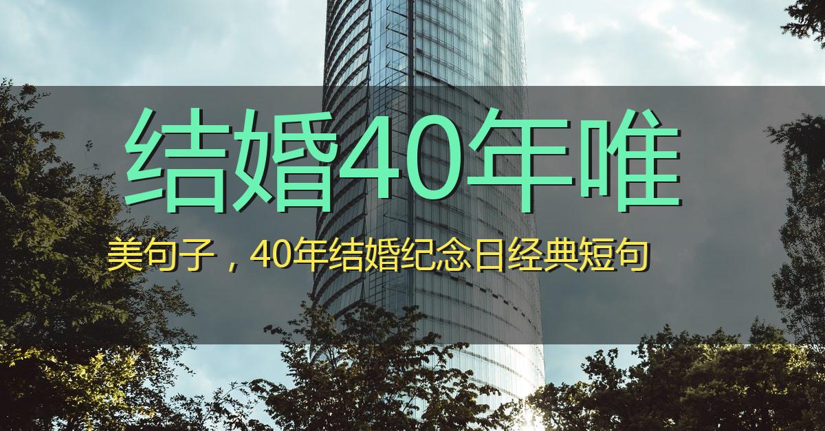 结婚40年唯美句子,40年结婚纪念日经典短句
