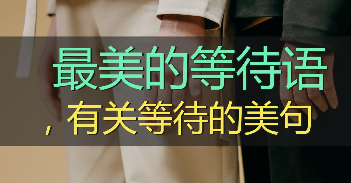 最美的等待语,有关等待的美句