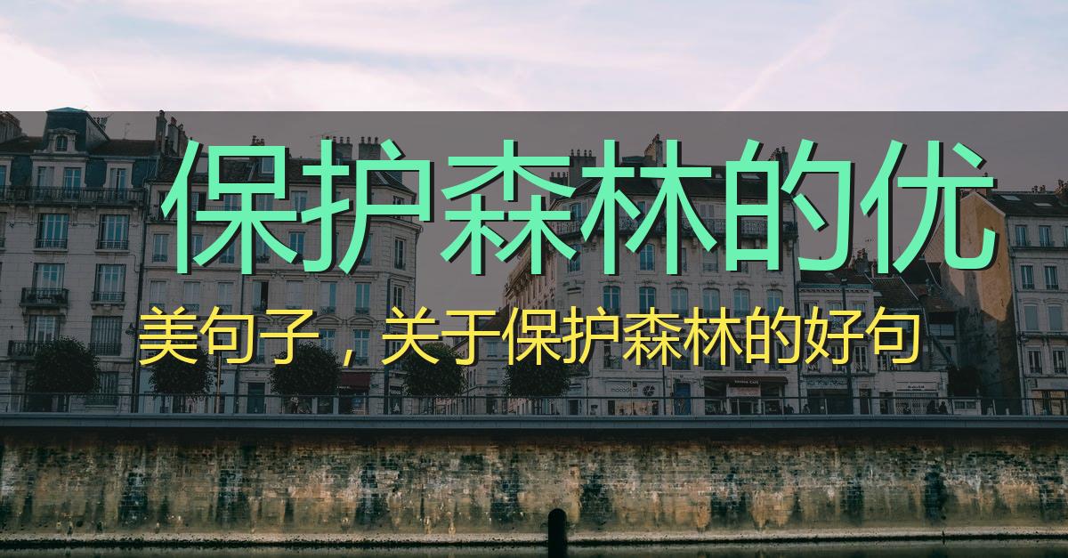 保护森林的优美句子，保护森林10条小建议