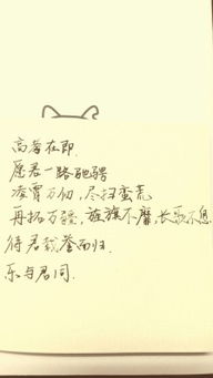 口号霸气押韵八字沙雕(口号霸气押韵八字)