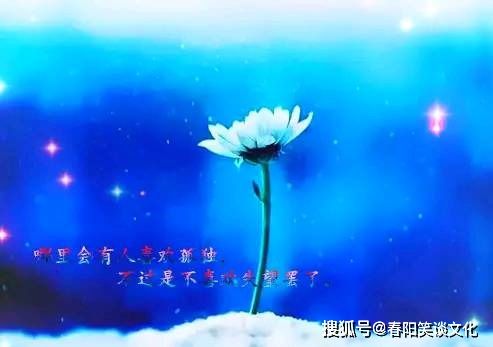 2023文案励志正能量(2023牛年祝福语励志)