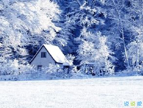 雪景句子唯美简短10字以上(雪景句子唯美简短朋友圈)