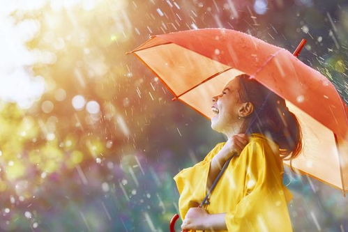 雨的四季好句摘抄(雨的四季朗读范文)